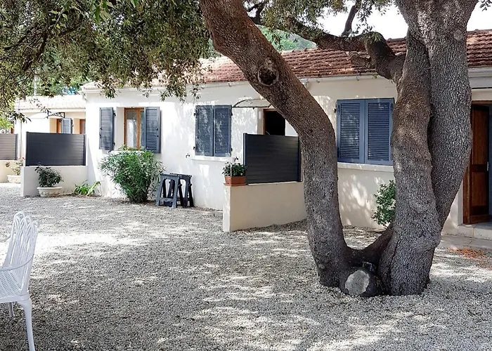 Dentice By Interhome * Sari-Solenzara